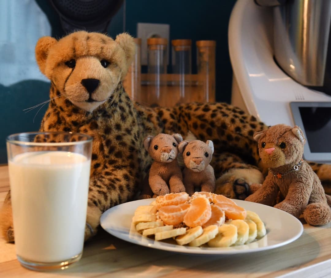Photo shared by Juba Gepard on November 21, 2021 tagging @edward_the_foxwood_bear.