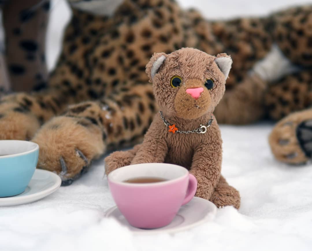 Photo shared by Juba Gepard on January 09, 2022 tagging @edward_the_foxwood_bear.