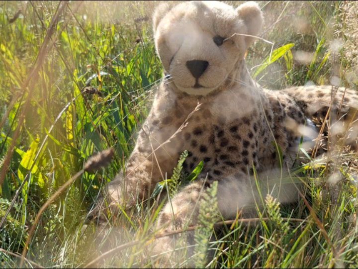 Ist das zu glauben – da liege ich mit den Kindern im Gras und spiele Verstecken, und plötzlich falle ich einem sonderbaren Gemurmel anheim, das – nicht weit von mir – eine große Entdeckung verriet. Wie sich zeigte, standen die Kleinen vor einem Pilz...