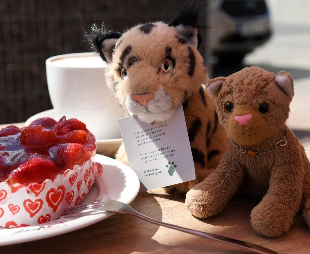 Photo shared by Juba Gepard on April 10, 2022 tagging @edward_the_foxwood_bear.