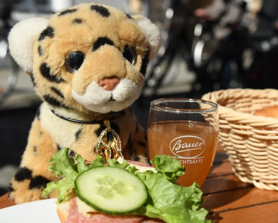 Photo shared by Juba Gepard on May 15, 2022 tagging @edward_the_foxwood_bear.