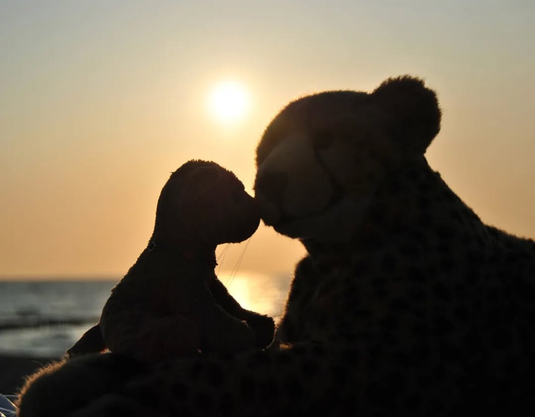 Photo by Juba Gepard on June 05, 2023.