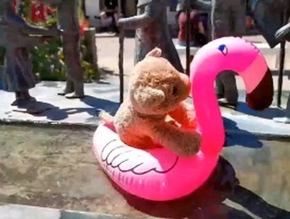 [#ThrowbackThursday] - yet another trip to the Baltic Sea, coming up with some more flamingo floatie madness 😊  [#BalticSea] [#Flamingo] [#Floatie] [#JubaOnTour] [#PlushiesOfInstagram] [#PlushiesOfGermany] [#Plushie] [#Kuscheltier] [#plushies] [#plushiecommunity]...