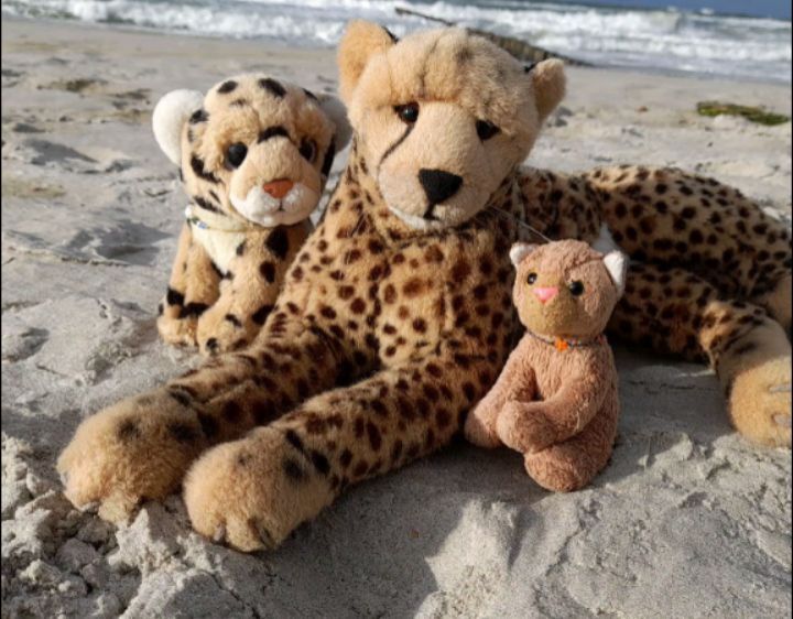 O my, I bought a tiny kite for the cubbies to make it fly - to no avail. The wind was like a wild beast, devouring everything it caught in its clutches. 😮  [#Ostsee] [#Sturm] [#Markgrafenheide] [#JubaOnTour] [#KoesenerSpielzeug]