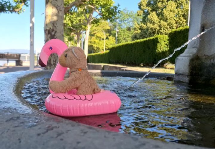 »Warte! Was ist das? Ein kleiner Brunnen? Viel Platz ist zwar nicht darin, aber trotzdem ist er groß genug für den FLAMINGOOOO!«, sagte Swede und stürzte sich hinein. 🦩🐱  🇬🇧 »Wait! What‘s that? A small fountain? Well, it isn’t that big,...