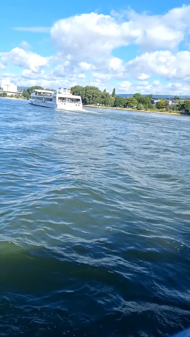 Swede is doing swede things  [#Tamara] [#AmRheinUfer] [#Wiesbaden] [#SchlossBiebrich] [#BiebricherSchloss] [#AufReisen] [#Urlaub] [#ReiseReise] [#Vacation] [#JubaOnTour] [#Plushie] [#instaplushies] [#stuffies] [#plushielife]