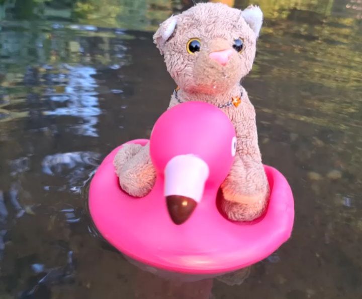 Und da saß Swede auf dem Gummientenflamingo, der wie ein Brett im Wasser lag. Was anfangs wie eine Schnappsidee klang, entdeckte sich rasch als Spaß.  😺 Daaad, der Flamingo ist voll geil. 🐆 Trotzdem übertreibe es nicht mit dem Wagemut. 😺 Ok, Dad,...