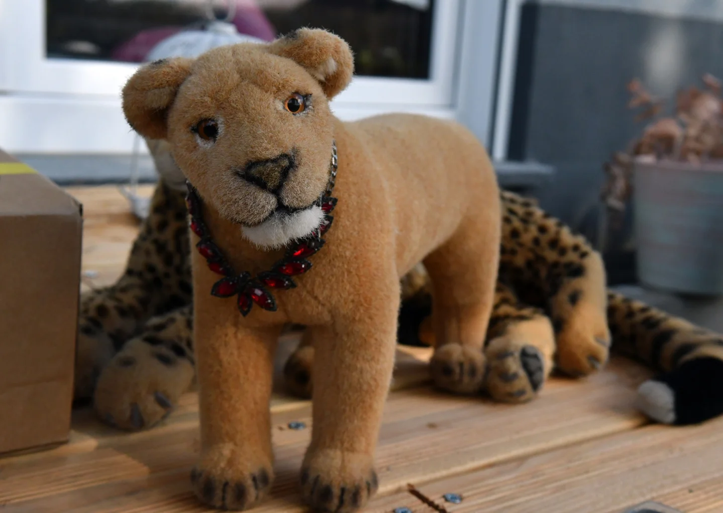 Photo by Juba Gepard on September 30, 2025. May be an image of snow leopard, big cat, cheetah, lion and toy.