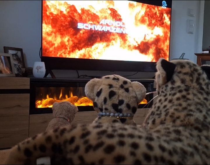🐱 Mistwetter heute. 🐆 Wollen wir uns auf die Couch legen und einen Film ansehen? 😺 Au ja. Ich will Vaiana 2 sehen. 😸 Und ich Baymax. 😺 Und danach Anna und Elsa. 🐆 Was? Nein, nein, ich dachte da an einen richtigen Film - Terminator 2, zum...