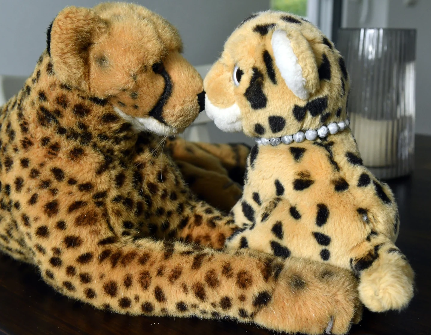 Photo by Juba Gepard on October 05, 2025. May be an image of snow leopard, cheetah, big cat and serval.