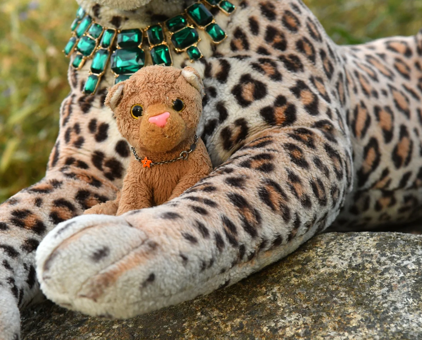Photo by Juba Gepard on November 10, 2025. May be an image of cheetah, big cat, snow leopard, bear, tiger, toy and text.