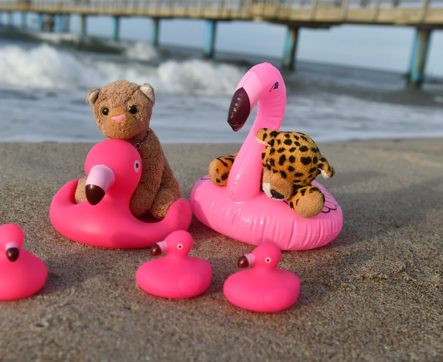 Photo by Juba Gepard on November 13, 2025. May be an image of flamingo, toy and text.