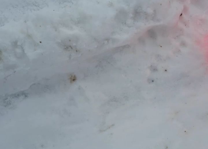 Tag 2 des Monomingo-Wettbewerbs und damit willkommen in Cortina zu den Finalläufen. Zum Glück! Denn nach der Sturzserie vom Vortag wurden Stimmen laut, die den neuen Wettbewerb bis auf weiteres aussetzen wollten, solange die Ereignisse nicht vollständig...