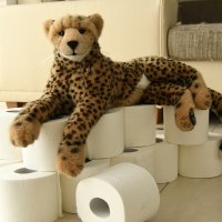 toilettenpapier