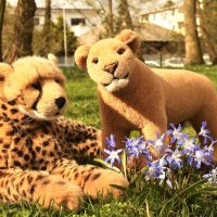 wearingflowers