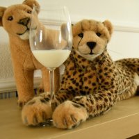 whiterussian