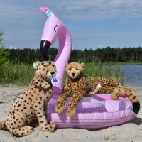 flamingoinflatable