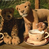 blacktea
