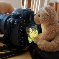 cameraday