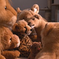 partywiththeplushiepride