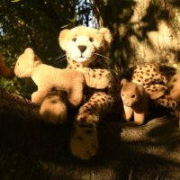 kinderbetreuung