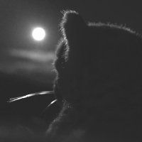 mond
