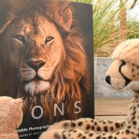 rememberinglions