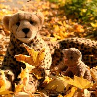 herbst