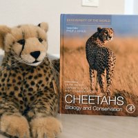 bookrecommendation