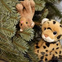 weihnachtsbaum