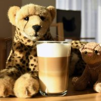 kaffeemaschine