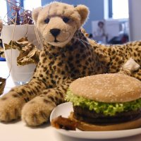 hungry