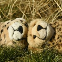 loveislove