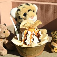 chefsundae