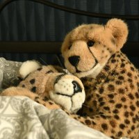 teamleopardin