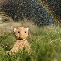 selfmaderainbow