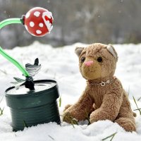 snowinapril