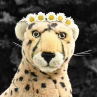 flowerinhair