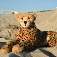 sphinxofgiza