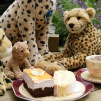 pieceofcake