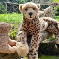zoobesuch