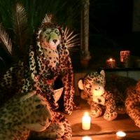 sommernacht