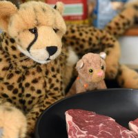 steak