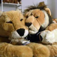 hugs