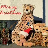 froheweihnachten