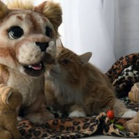 stuffie