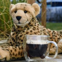 kaffeezeit