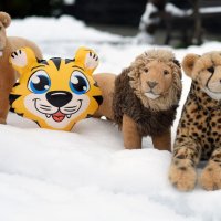 firstsnow