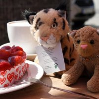 kaffeundkuchen