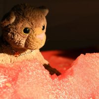 erfrischung